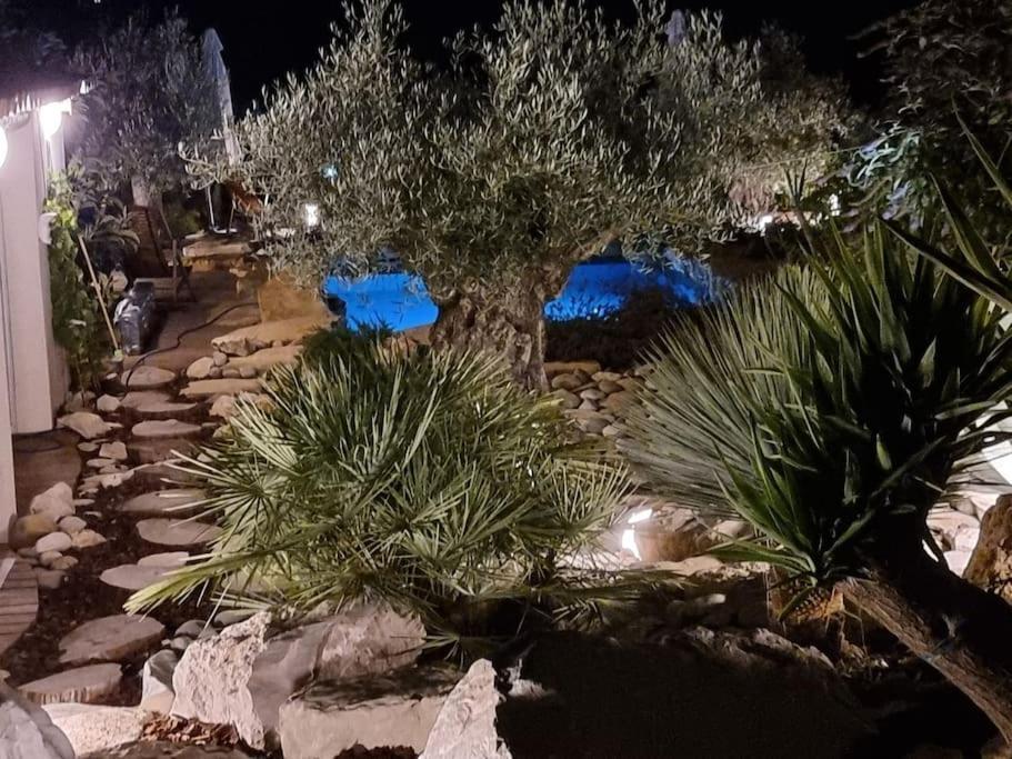 Une Oasis Au Pays De Cezanne Aix-en-Provence Buitenkant foto