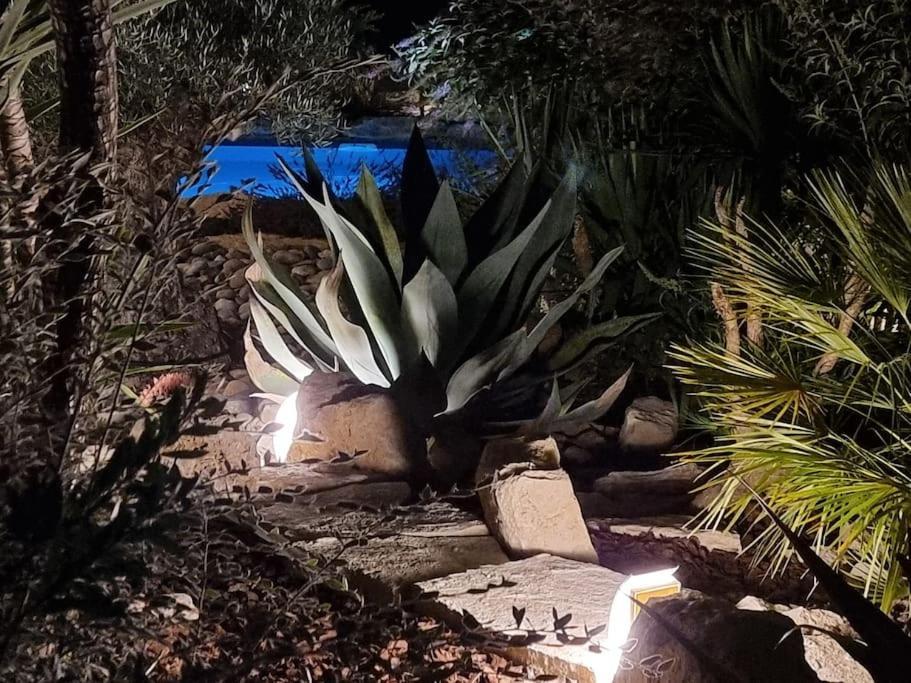 Une Oasis Au Pays De Cezanne Aix-en-Provence Buitenkant foto